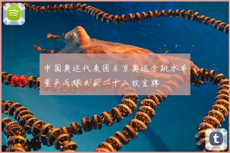 中国奥运代表团东京奥运会跳水举重乒乓球共获二十八枚金牌