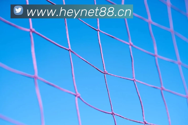 中国(九游会·J9)官方网站 - 首页APP 封面图